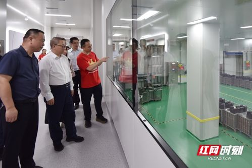 湖南省食品專(zhuān)家團(tuán)隊(duì)技術(shù)服務(wù)進(jìn)產(chǎn)區(qū)活動(dòng)在平江啟動(dòng)